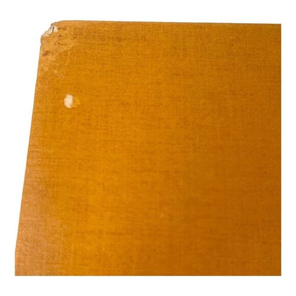 Louis Vuitton Brown Shopping Bag Blue Cloth Handles Gift Tote 14x10 Authentic - Picture 3 of 5